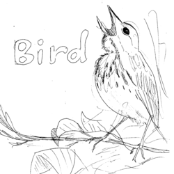 BIIIIRRD.png