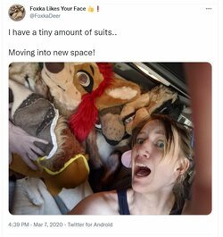 foxmar7.JPG