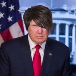 1632693756812.png