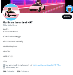 Untitled.png