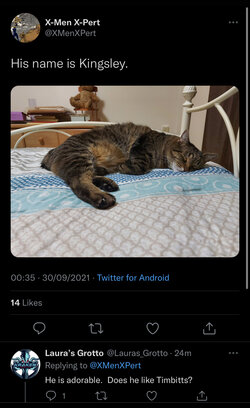 F85778E5-7F81-4A35-A49E-0C2C2B8E2CEE.jpeg