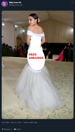 aoc_dress_shoop.png