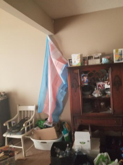 1595560936323.png