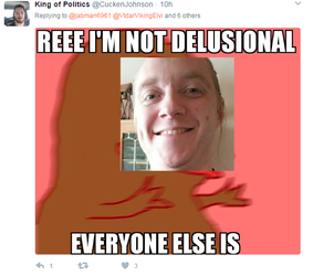 poltwitter36.png