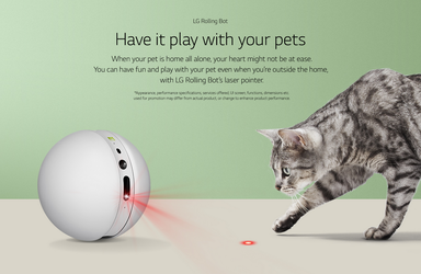 lg rolling bot play with cat.png