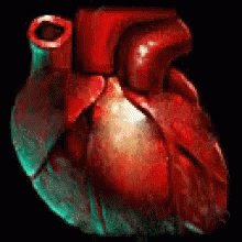 heartbeat.gif