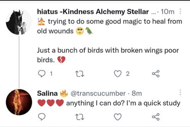 Witchy.jpg