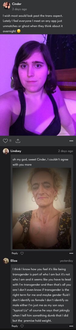 Cinder and the Hons.JPG