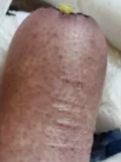 george floyd penis.jpg