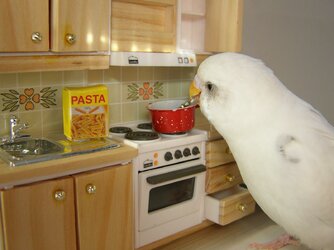 penne rigate.jpg