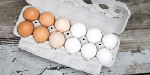 eggs.png
