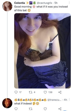 Batshittery.jpg