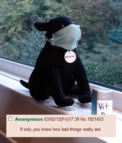 dog mask only knew how bad 01 copy.jpg