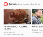 amber.png