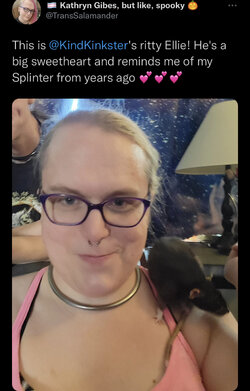 AB078292-7391-4D6E-A4CB-BD0C1AA68C97.jpeg