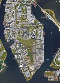 tampa.png