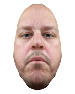 wern egg.png