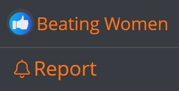 beating women report.jpg
