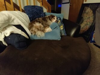 7F212184-2E74-41CA-9B68-466018895128.jpeg