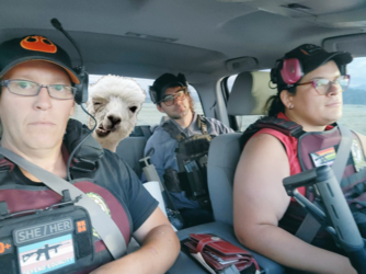 E21E0403-0395-4FFA-BCDB-198F89C232C7.png