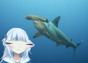 4f5.png