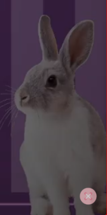 Screenshot_83.png