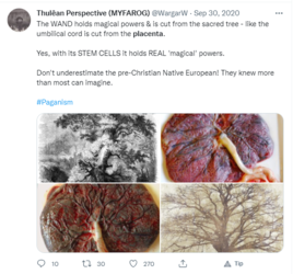 placenta.png