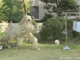A8jKfm0.gif