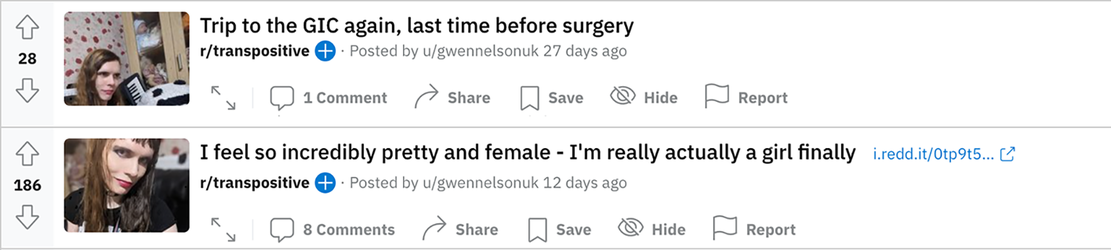GVN 04.png