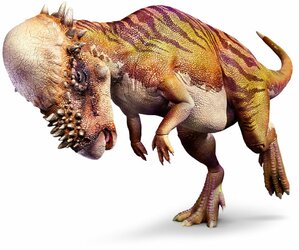 Pachycephalosaurus right_mch8y6.jpg