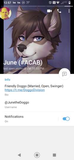 Screenshot_20210529-005706.png
