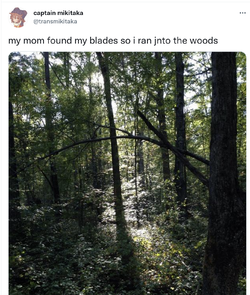 selfharm2.png