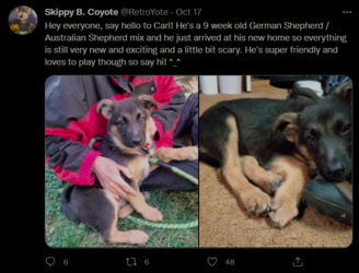 Screenshot 2021-10-19 224955.png