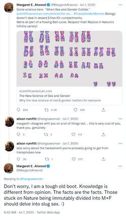 Untitled.png
