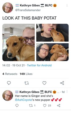 Screenshot_20211020-173002_Twitter.jpg