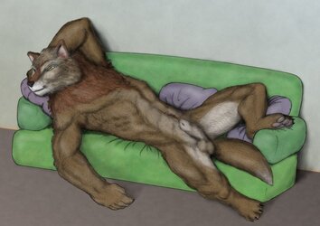 mc_couch_wolf.jpg