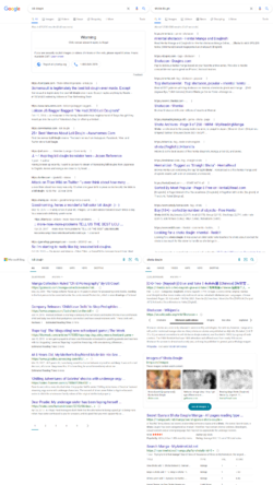 FvM search engines.png