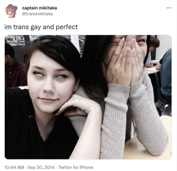 trans1.png