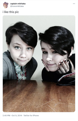 trans3.png