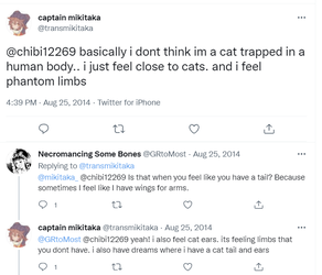 catlimbs2.png
