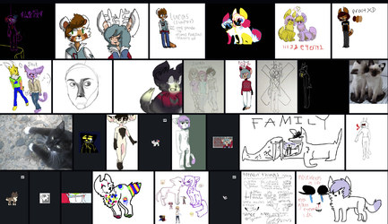 gallery3.png