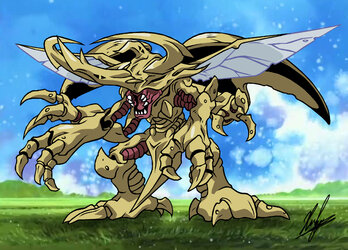 heracross.jpg