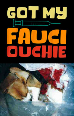 fauci beagle2 copy2 2.jpg