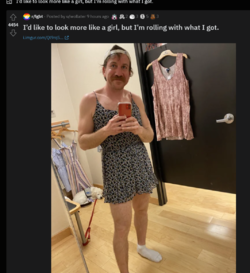 obvious troll.png