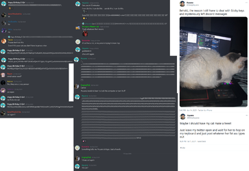 cat on keyboard.png cat on keyboard.png
