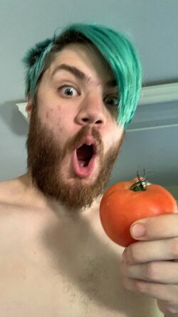 tomato.jpg