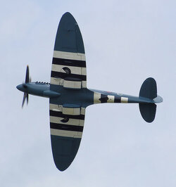 563px-Spitfire_mark19_ps853_planform_arp.jpg