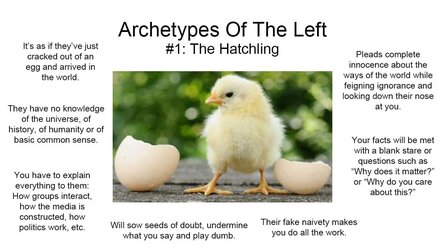 archetypes of left hatchling.jpg