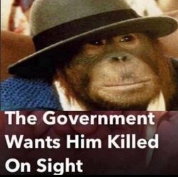 monkey govt.jpg