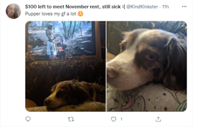 savethedog1029.PNG